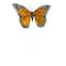 8 Packs: 10 ct. (80 total) 4.75" Orange Feather Butterflies by Ashland®